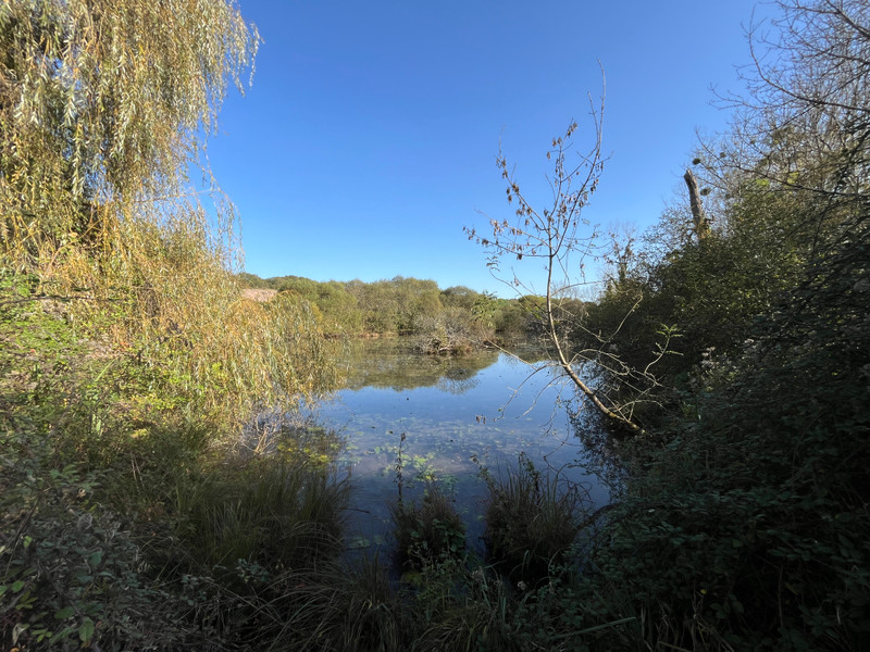 French property for sale in La Rochebeaucourt-et-Argentine, Dordogne - €15,350 - photo 2