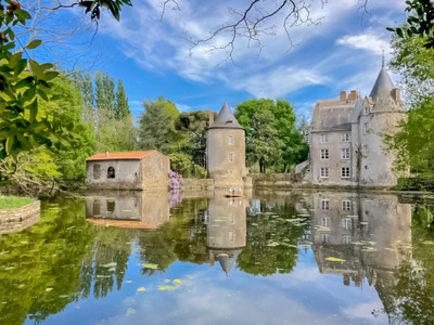 chateau for sale in Pays-de-la-Loire
