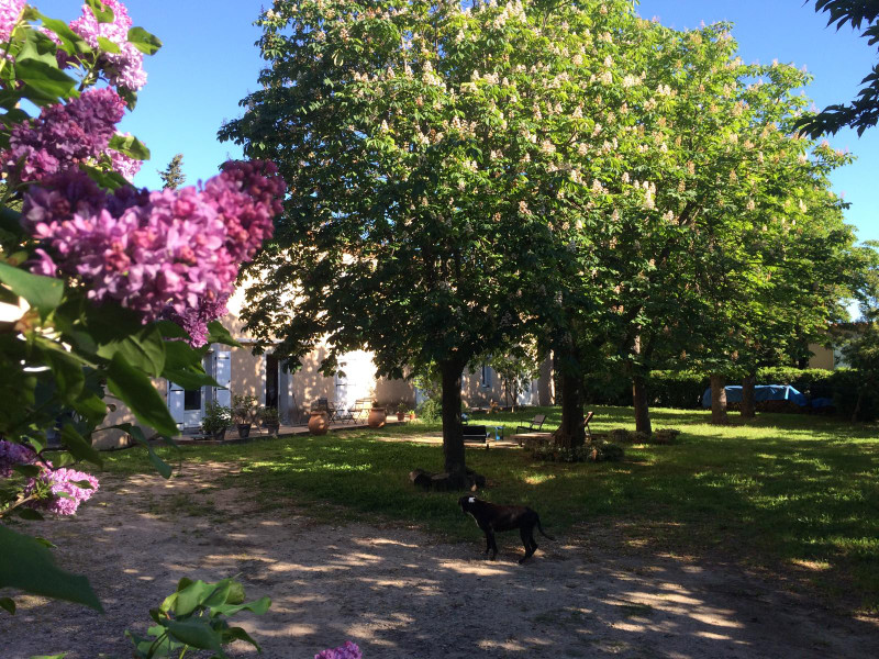 French property for sale in Maureilhan, Hérault - €995,000 - photo 2