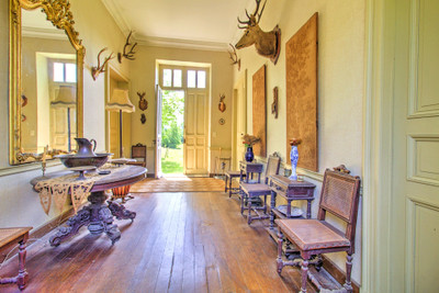 chateau for sale in Aquitaine (Nouvelle-Aquitaine)