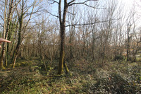 Terrain à vendre à Nieuil, Charente - 20.000 € - photo 7