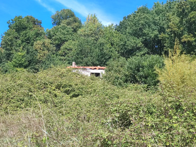 French property for sale in Villars-les-Bois, Charente-Maritime - €51,600 - photo 4