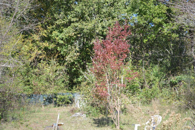 French property for sale in Tombebœuf, Lot-et-Garonne - €114,450 - photo 4