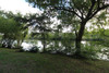 French property for sale in La Chapelle-Moulière, Vienne - €401,740 - thumbnail 9