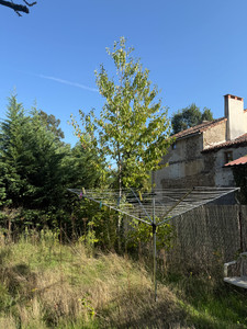 French property for sale in Queaux, Vienne - €99,000 - photo 14