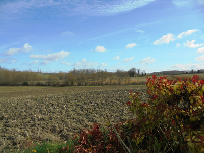 French property for sale in Aubeterre-sur-Dronne, Charente - €170,000 - photo 2