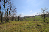 Commerce à vendre à Bayac, Dordogne - 207.000 € - photo 14