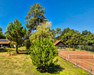 French property for sale in Rion-des-Landes, Landes - €799,000 - thumbnail 9