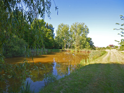 French property for sale in Sainte-Trie, Dordogne - €179,900 - photo 2