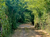 French property for sale in Trie-sur-Baïse, Hautes-Pyrénées - €199,500 - thumbnail 14
