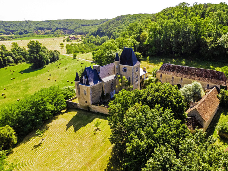 Chateau à vendre à Coulaures, Dordogne - 1 260 000 € - photo 1