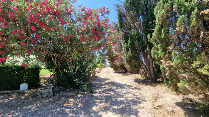 French property for sale in Argeliers, Aude - €290,000 - photo 1