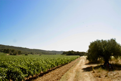 Maison à vendre à Cesseras, Hérault, Languedoc-Roussillon, avec Leggett Immobilier