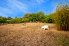 French property for sale in Richelieu, Indre-et-Loire - €170,130 - thumbnail 9