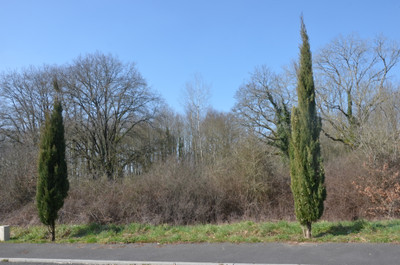 Terrain à vendre à Vasles, Deux-Sèvres, Poitou-Charentes, avec Leggett Immobilier