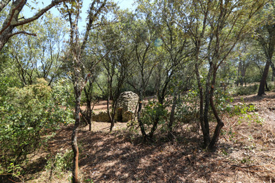French property for sale in Sanilhac-Sagriès, Gard - €49,000 - photo 1