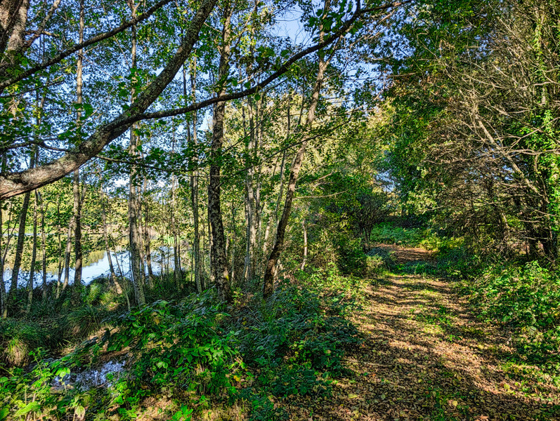 French property for sale in La Croisille-sur-Briance, Haute-Vienne - €124,260 - photo 3