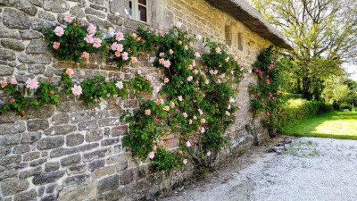 French property for sale in Melrand, Morbihan - €339,200 - photo 7
