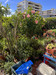 French property for sale in Antibes, Alpes-Maritimes - €614,800 - thumbnail 13