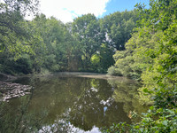 Lacs à vendre à Champs-Romain, Dordogne - 41.600 € - photo 4