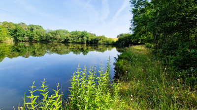 French property for sale in Saint-André-de-Double, Dordogne - €54,600 - photo 9