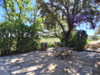 French property for sale in Roujan, Hérault - €940,000 - thumbnail 9