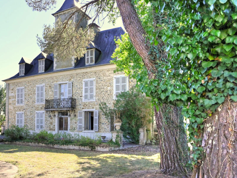 Chateau for sale in SauveterredeBéarn PyrénéesAtlantiques
