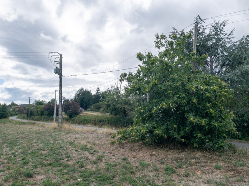 French property for sale in Pressignac, Charente - €20,000 - photo 4