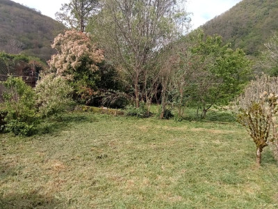 French property for sale in Bassignac, Cantal - €77,000 - photo 7