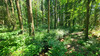 French property for sale in Ceaucé, Orne - €250,000 - thumbnail 14
