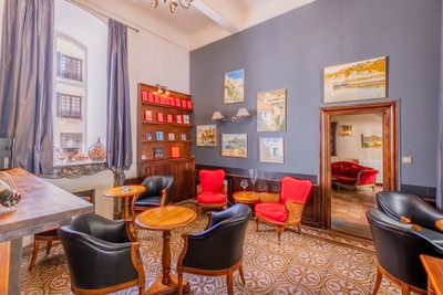Exquisite Luxury Hotel Particulier in the Heart of Historic Cathare Village 