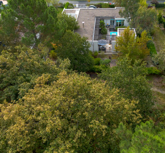 Magnificent architect-designed house on the edge of a forest