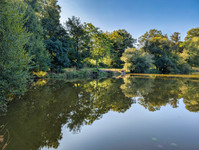 Lacs à vendre à Saint-Pardoux-le-Lac, Haute-Vienne - 55.000 € - photo 10