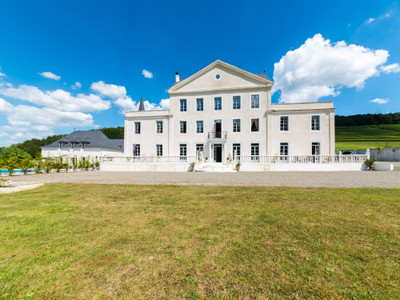 OFFER ACCEPTED - RAVISHING 19TH-CENTURY CHÂTEAU NEAR JURANÇON + GUEST COTTAGE + POOL + LAKE + 14 HECTARES...