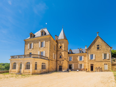 chateau for sale in Aquitaine (Nouvelle-Aquitaine)
