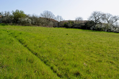 land for sale in Charente