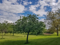Maison à vendre à Saint-Georges-Motel, Eure - 1.285.000 € - photo 10