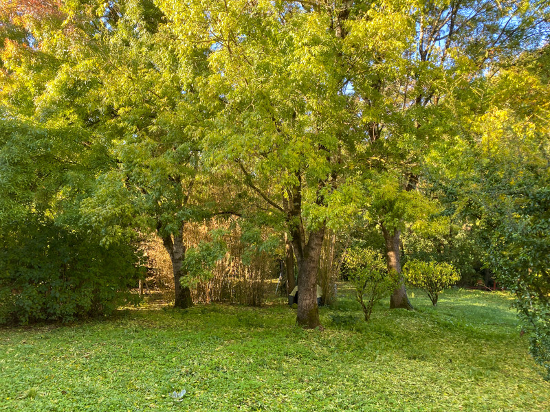 French property for sale in Val-de-Bonnieure, Charente - €296,520 - photo 1