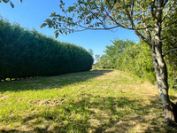 Maison à Luchapt, Vienne - photo 3