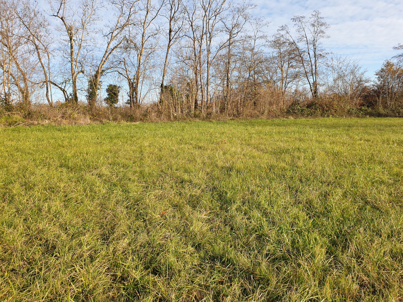 French property for sale in Tourtoirac, Dordogne - €31,000 - photo 6