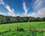 French property for sale in Saulgond, Charente - €260,000 - thumbnail 9