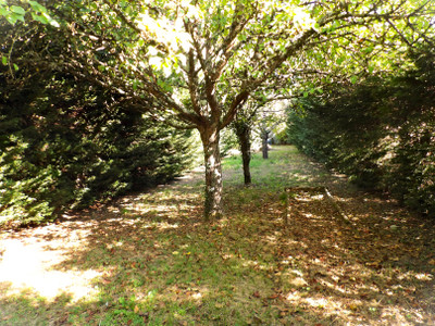 French property for sale in Pouillé, Loir-et-Cher - €88,890 - photo 7