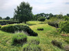 French property for sale in Sincey-lès-Rouvray, Côte-d'Or - €180,000 - thumbnail 9