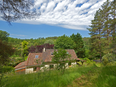 French property for sale in Plazac, Dordogne - €216,000 - photo 2