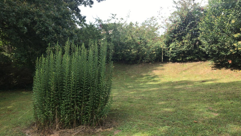 French property for sale in Tombebœuf, Lot-et-Garonne - €257,500 - photo 13