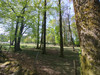 French property for sale in Romagny Fontenay, Manche - €36,600 - thumbnail 14