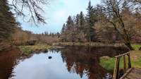 Moulin à vendre à Ploërdut, Morbihan - 604.200 € - photo 15