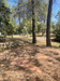 French property for sale in Carcès, Var - €1,378,000 - thumbnail 4