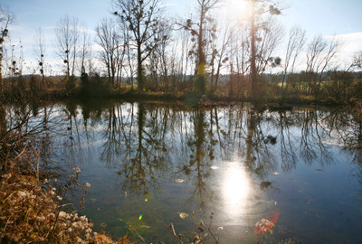 French property for sale in La Rochebeaucourt-et-Argentine, Dordogne - €15,350 - photo 6