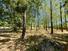 French property for sale in Loubès-Bernac, Lot-et-Garonne - €499,000 - thumbnail 9